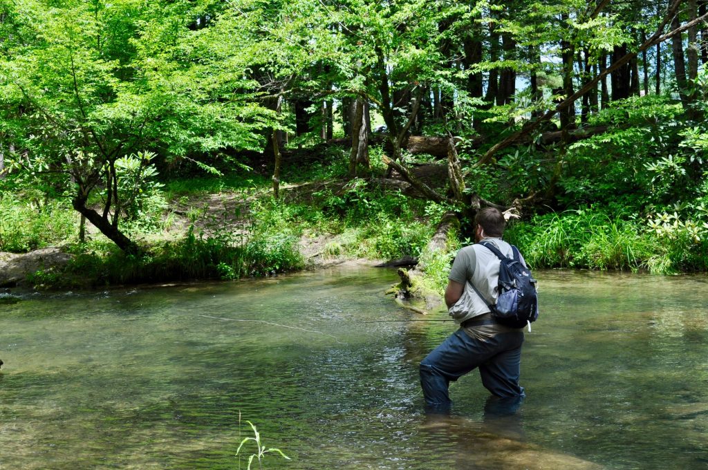 Angler practicing freshwater fly fishing in a serene river setting